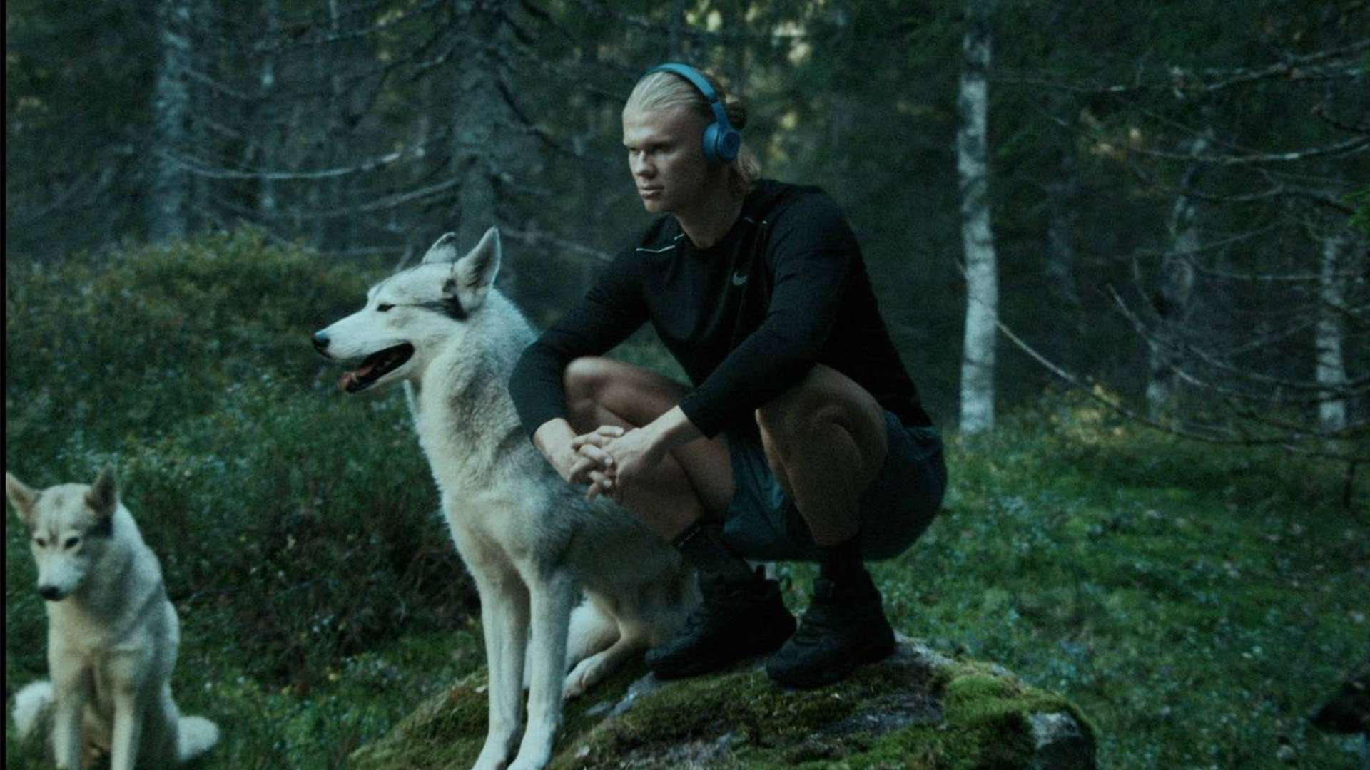 Timo